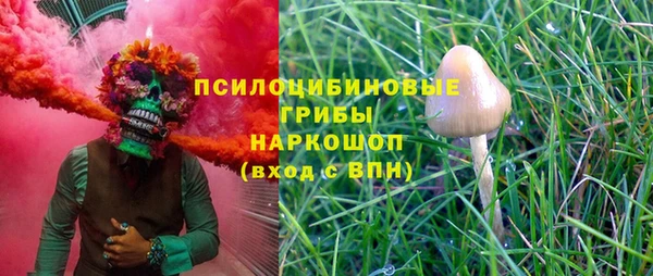 а пвп мука Осинники