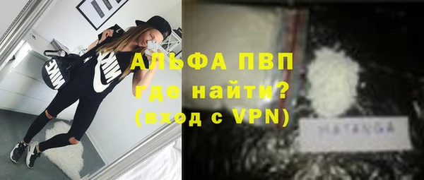 стафф Осташков