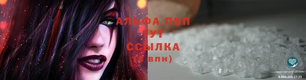 стафф Осташков