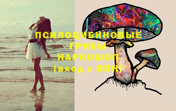 стафф Осташков