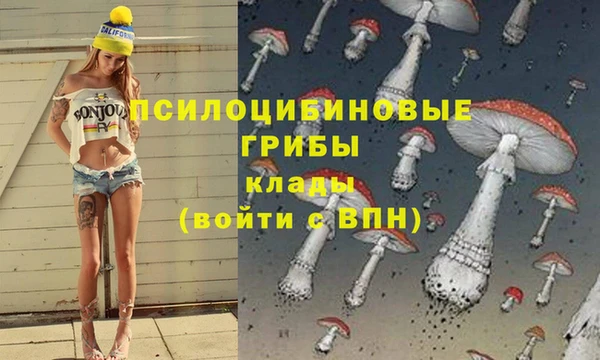 стафф Осташков