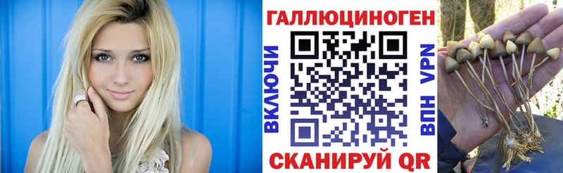 что такое   Подпорожье  это как зайти  Галлюциногенные грибы мицелий  OMG зеркало 